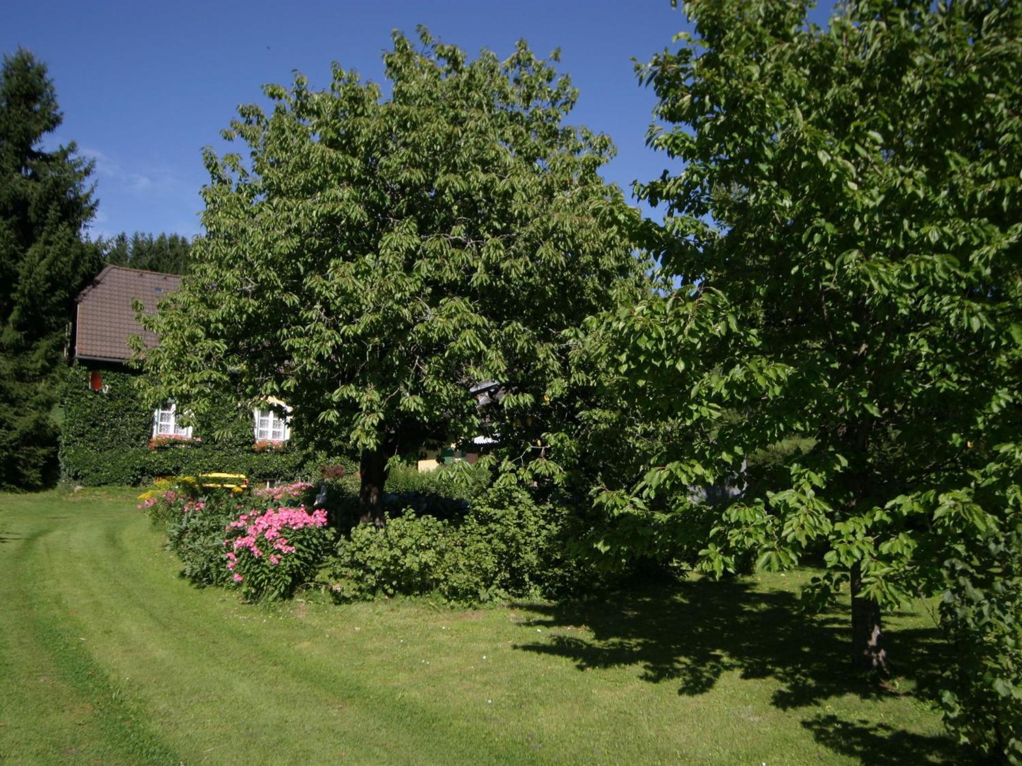 Holiday Home In Scheifling Near Ski Area Buitenkant foto