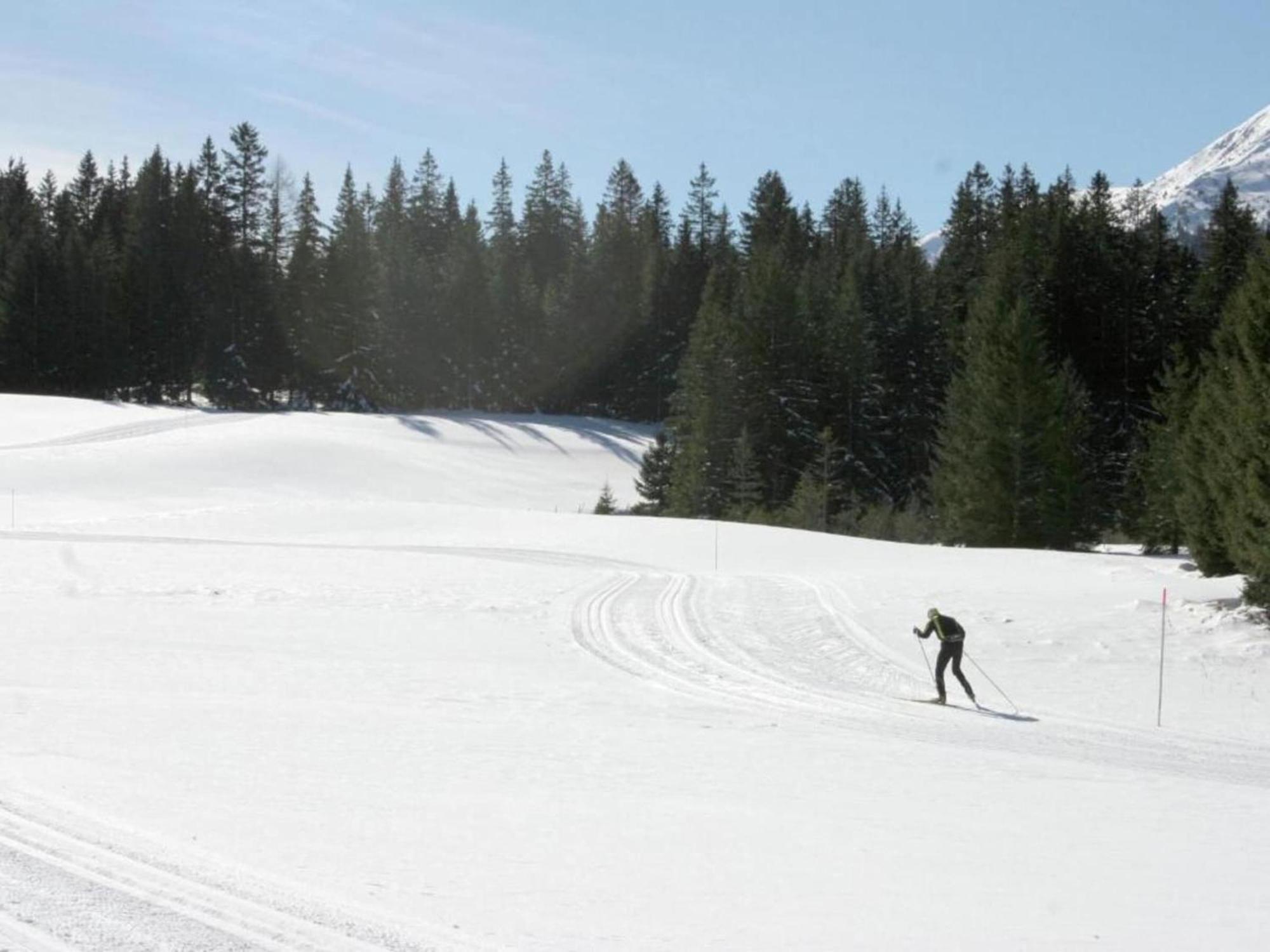 Holiday Home In Scheifling Near Ski Area Buitenkant foto